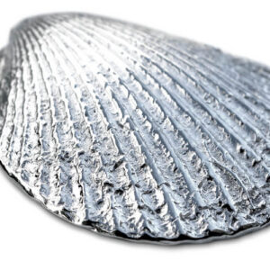 Amuse Schelpen Anovi