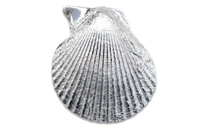 Amuse Schelpen Anovi