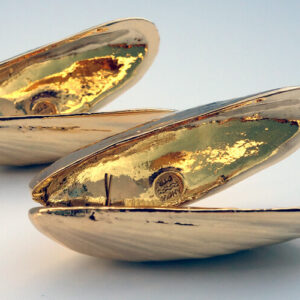 Zeeuws Mosselbestek Anovi Verguld