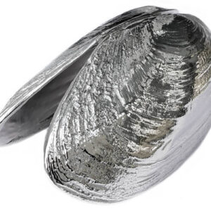 Mosselschelp Serveertang Anovi