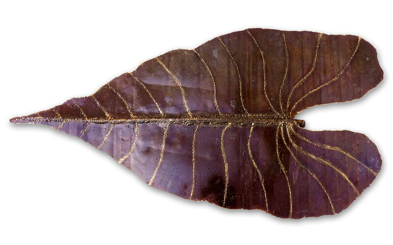 Olifantsoor Metaal 3D Wandarmatuur