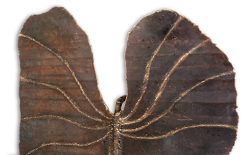 Olifantsoor Metaal 3D Wandarmatuur