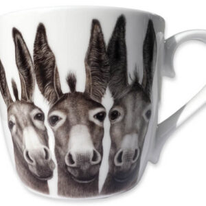 Mok "Amigos" Ezeltjes