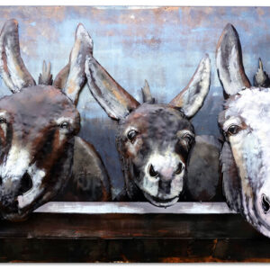 Metalen Schilderij 3D Ezels Gave Specials