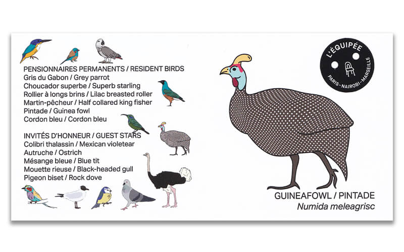 Houten vogel miniatuur Parelhoender