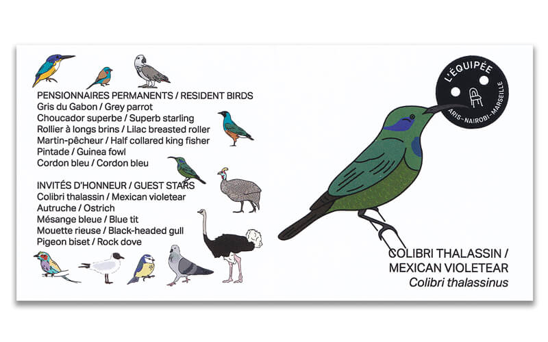 Houten vogel Miniatuur Kolibrie