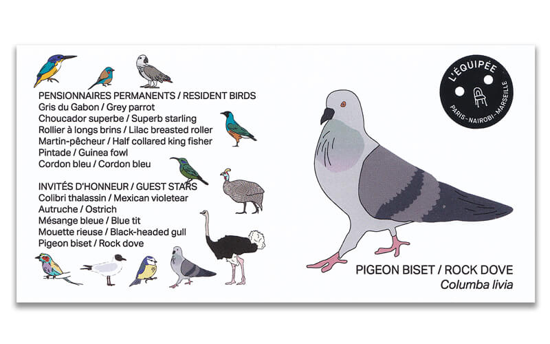 Houten vogel miniatuur Rotsduif