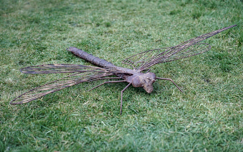 Libelle Metalen 3D Tuindecoratie 110 x 110 cm