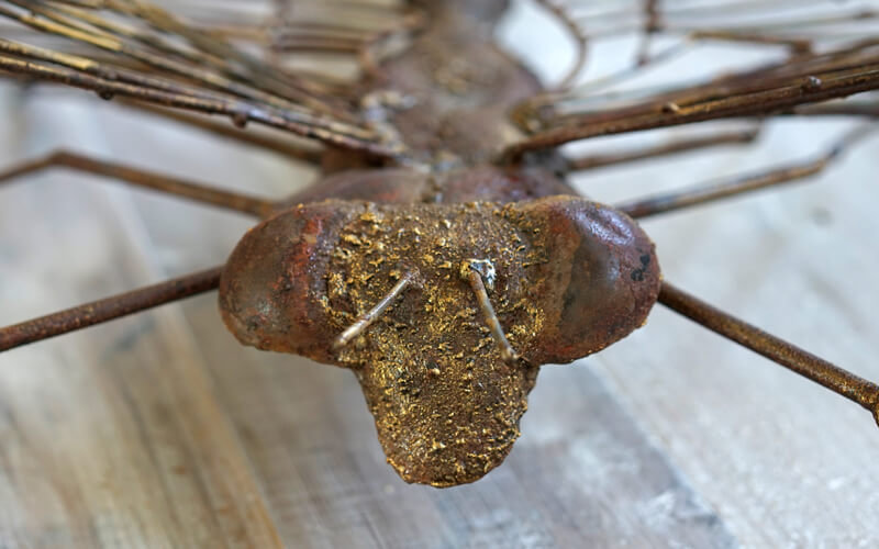 Libelle Metalen 3D Tuindecoratie 110 x 110 cm