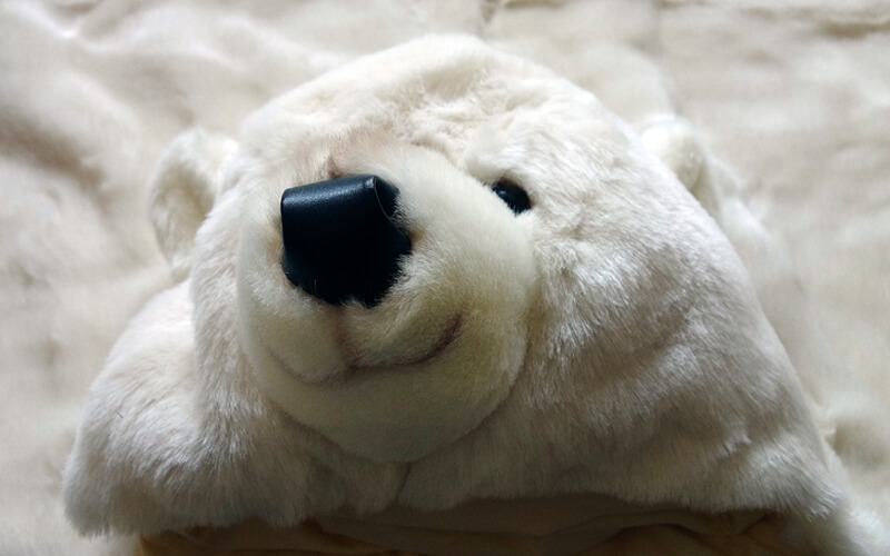 IJsbeer Vloerkleed- Verkleedpak Wild & Soft