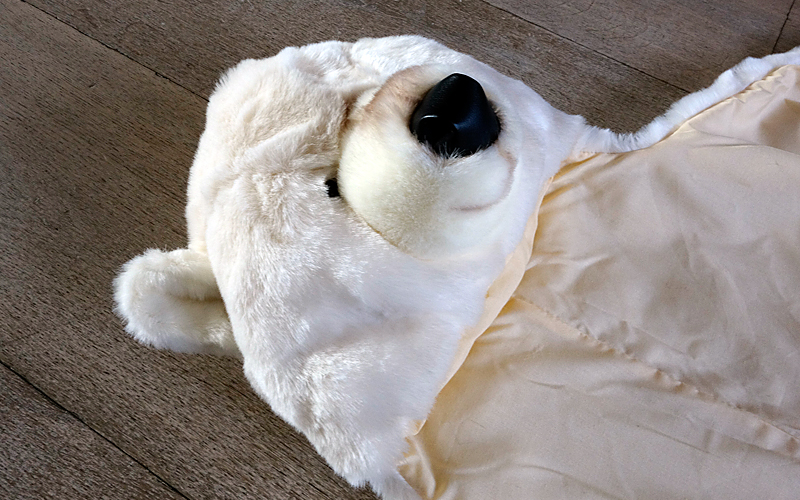 IJsbeer Vloerkleed- Verkleedpak Wild & Soft