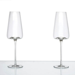 Wijnglazen ZIEHER-Vision Rich Set2